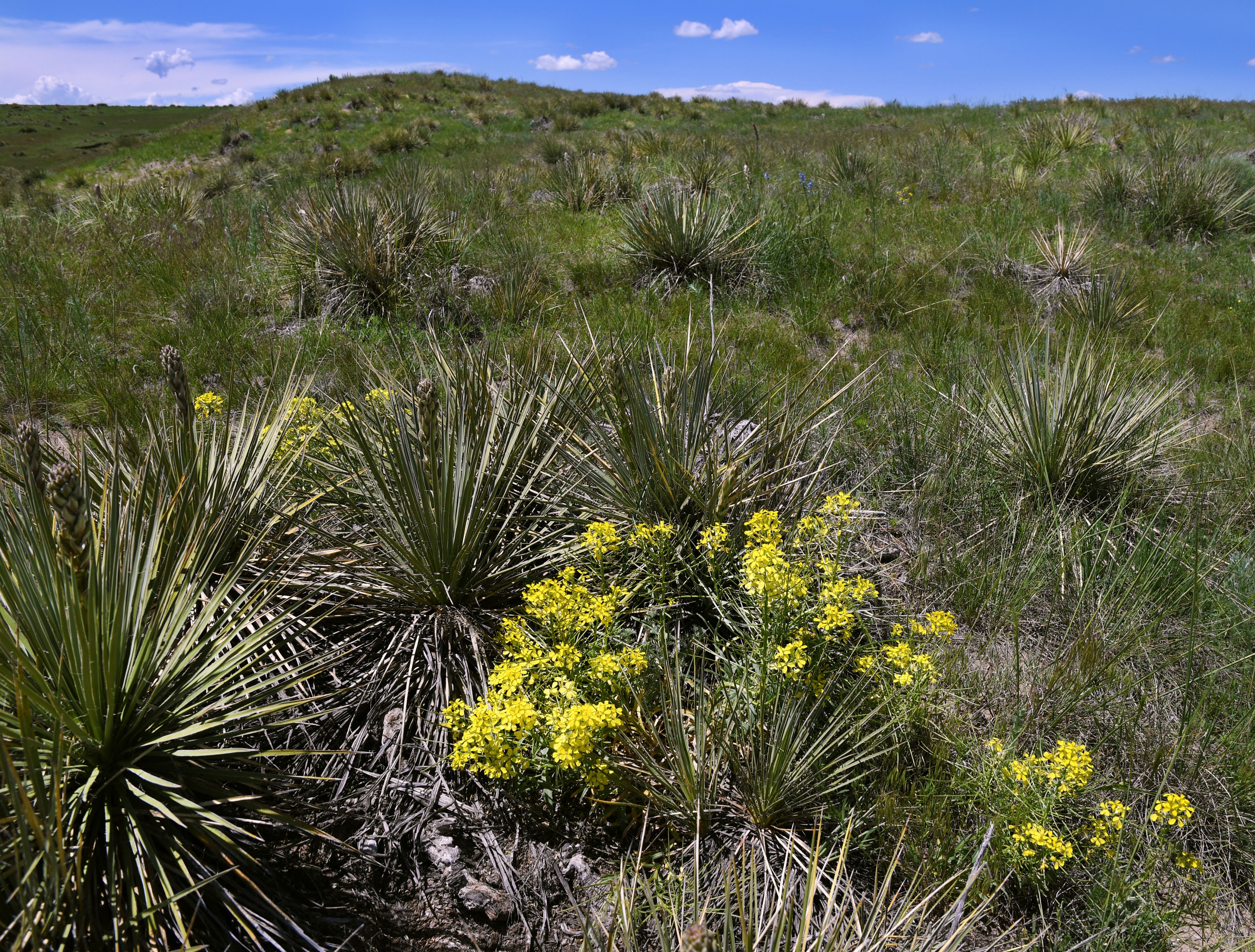 image of natural landscape at Bijou Basin