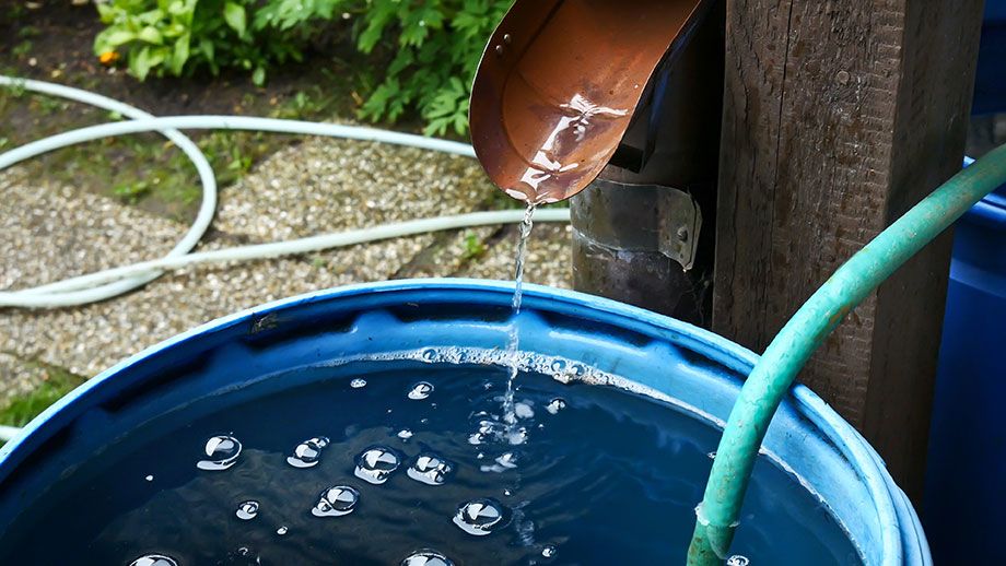 image of a rain barrel with water running into it